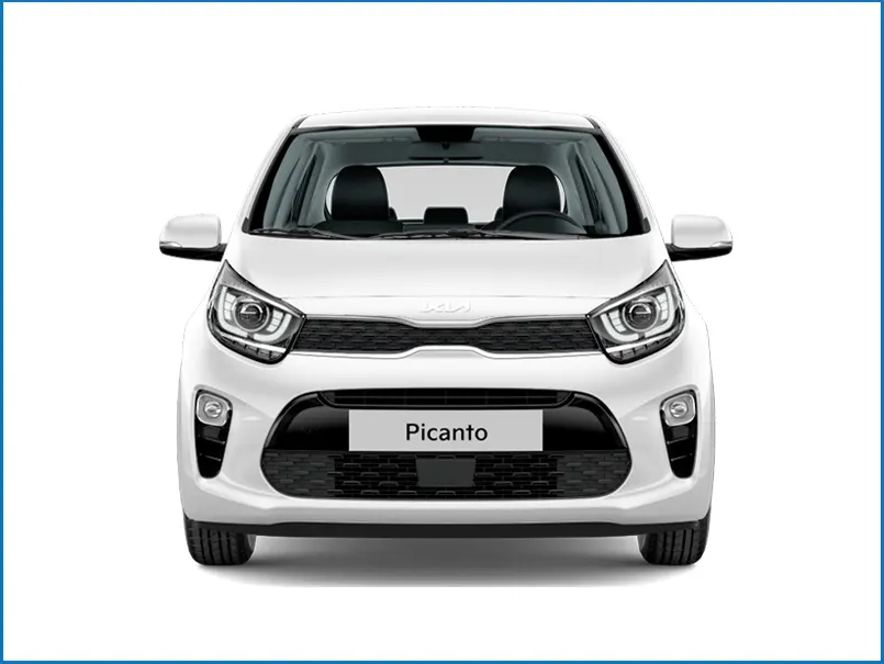 Picanto-2